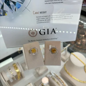 Earring EN00100